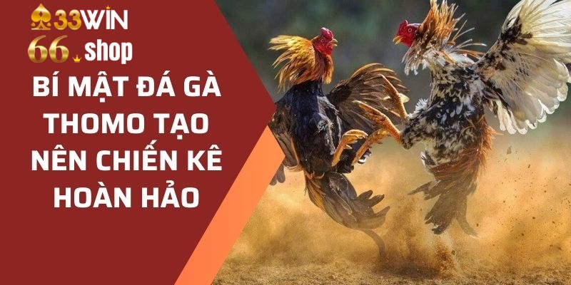 Trải Nghiệm Đỉnh Cao Đá Gà Trực Tuyến Tại 33win66